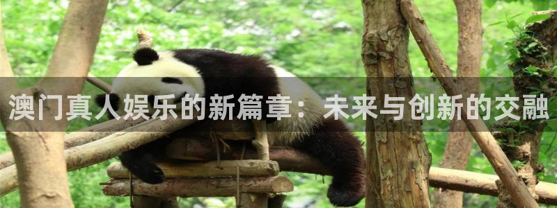 琳琅娱乐