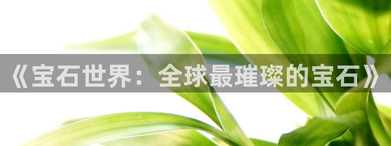 琳琅娱乐