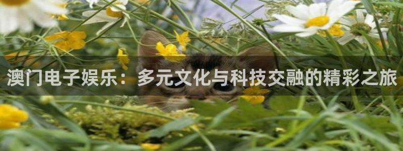 琳琅娱乐